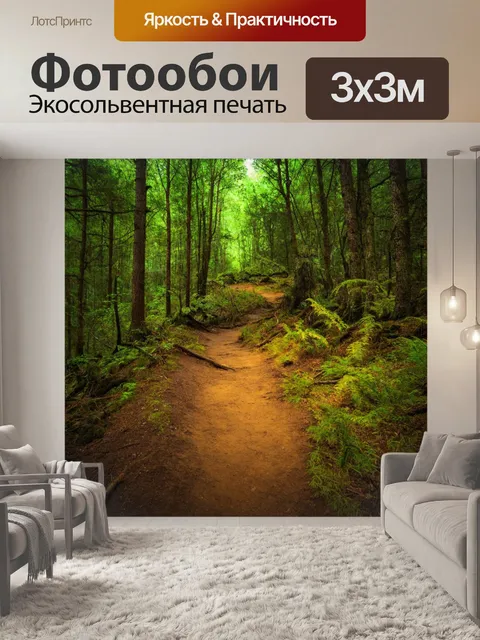 Фотообои лес с старыми тропами, ведающими к неизведанным местам