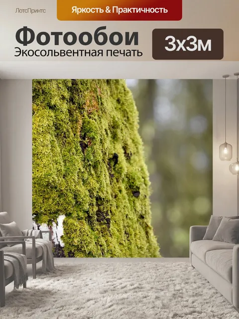 Фотообои Мох