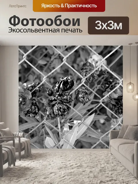 Фотообои Черно-белый олеандр