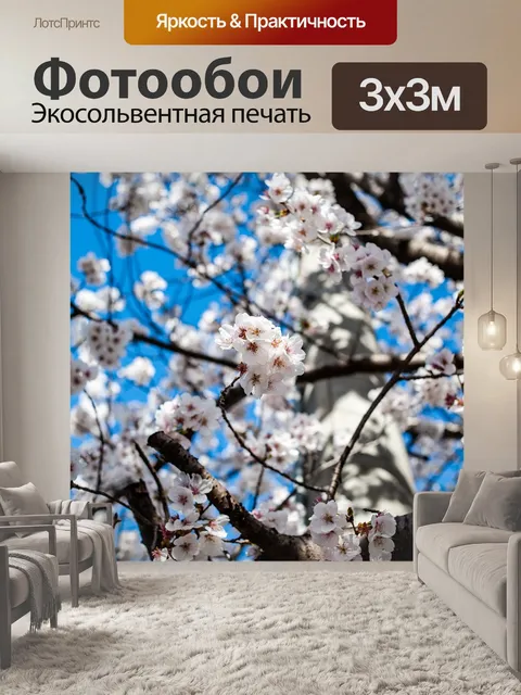 Фотообои Белые цветки