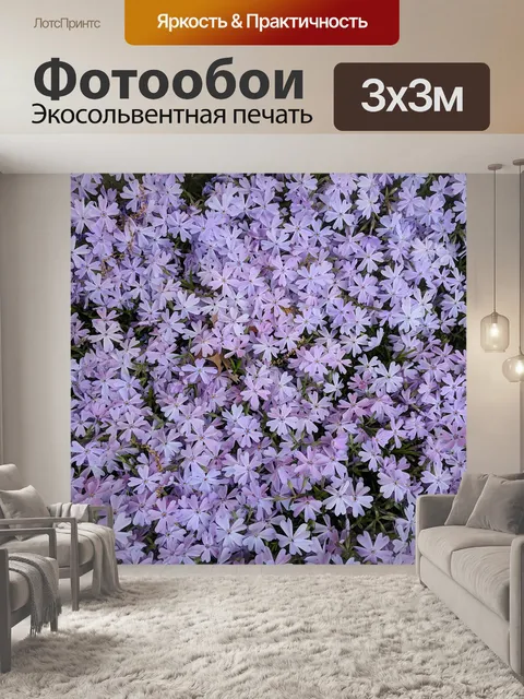 Фотообои Флокс