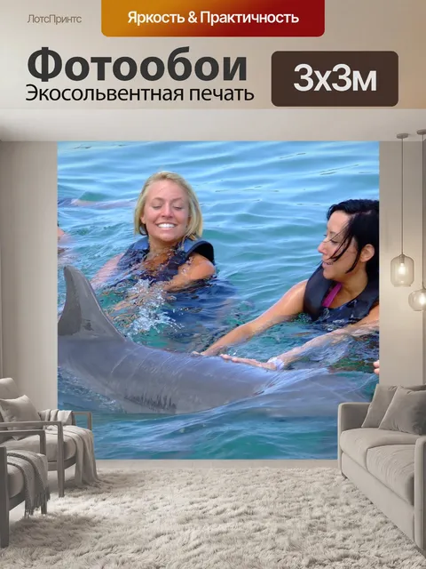 Фотообои Дельфин