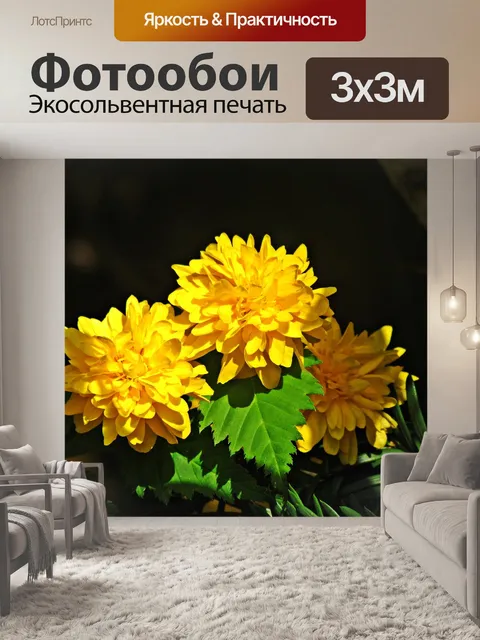 Фотообои Цветы