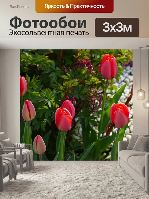 Фотообои Природа