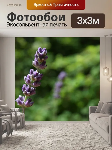 Фотообои Цветы