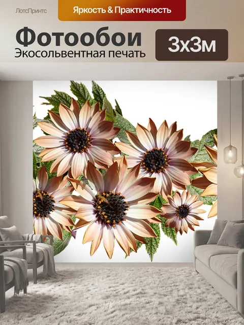 Фотообои Солнце ромашки