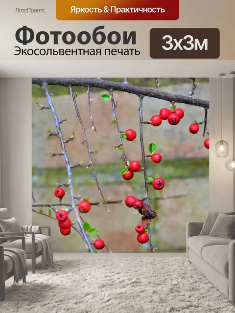 Фотообои Фрукты
