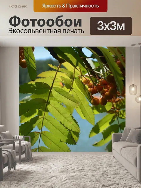 Фотообои Природа