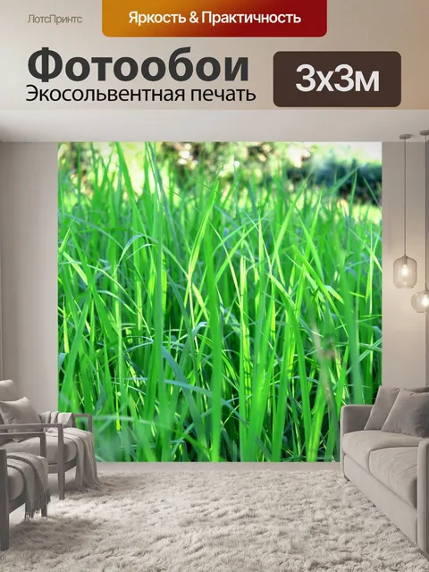 Фотообои Зеленое рисовое поле