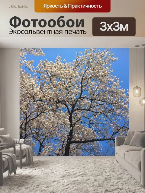 Фотообои Сакура