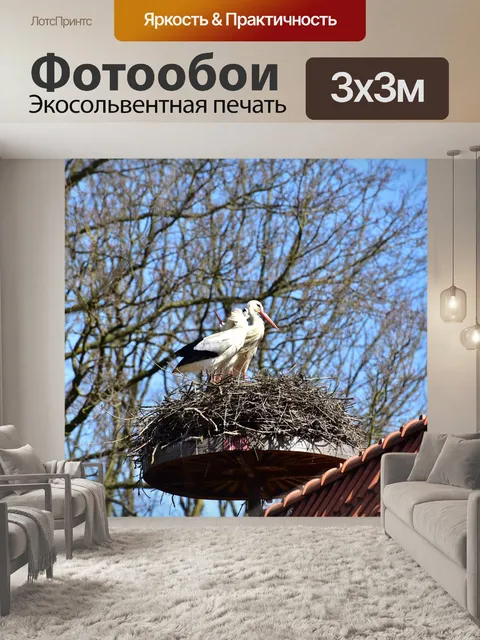 Фотообои Аист