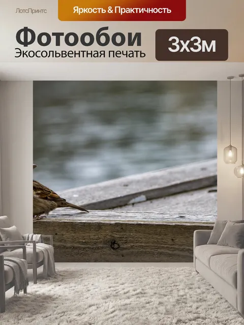 Фотообои Воробей