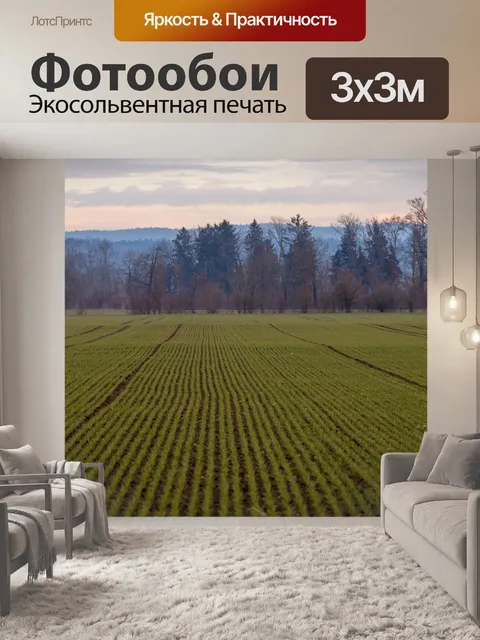 Фотообои Поле
