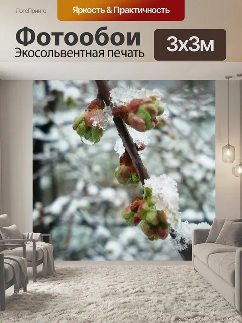 Фотообои Зима