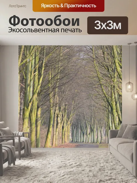 Фотообои Проспект