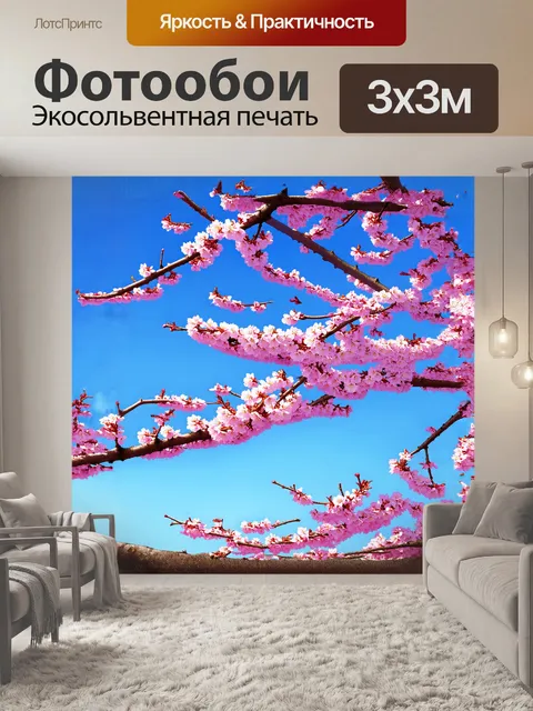 Фотообои весеннее утро, когда у сакуры нежно распускаются розовые цветы, нежно колеблясь на ветру