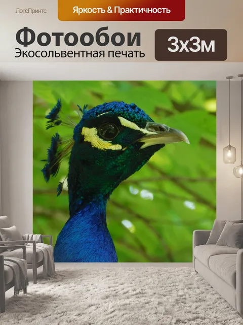 Фотообои Павлин