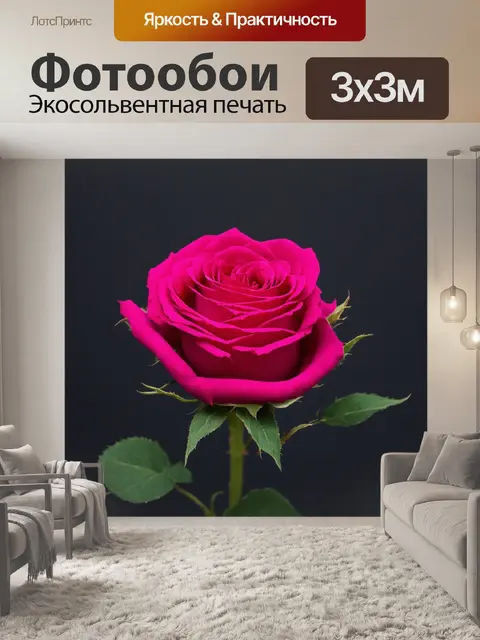 Фотообои розы в стиле минимализм