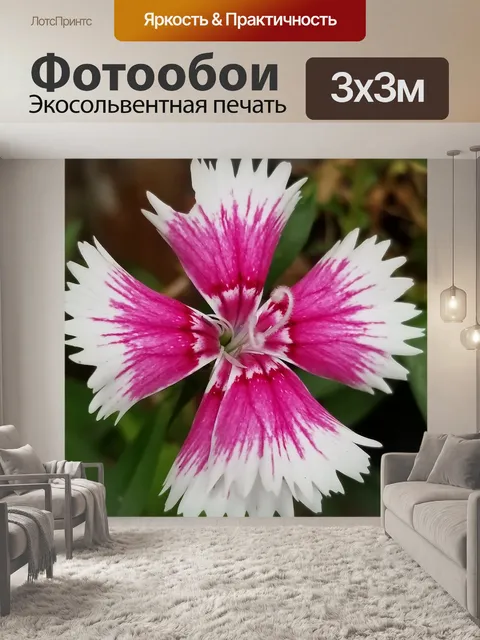 Фотообои Земля