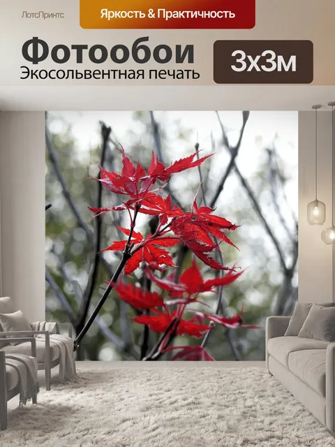 Фотообои Осенний лист