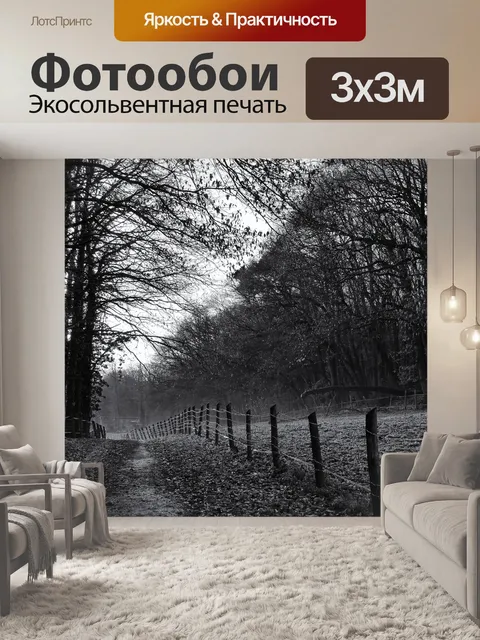 Фотообои Дорожка