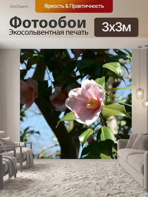 Фотообои Цветок