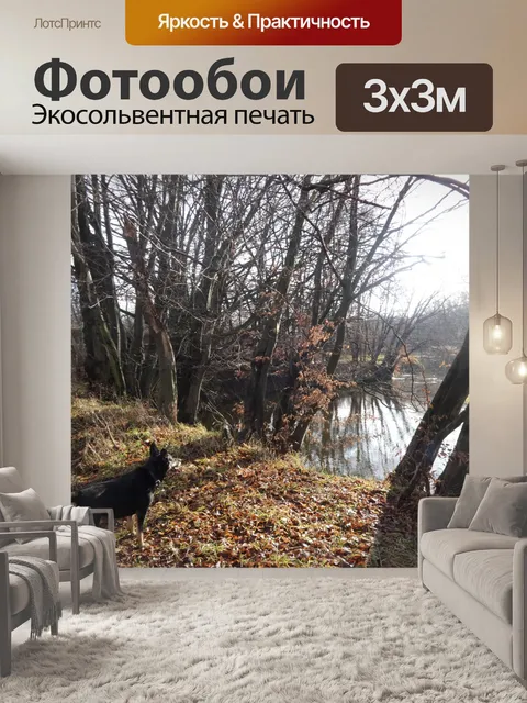 Фотообои Собака, лес