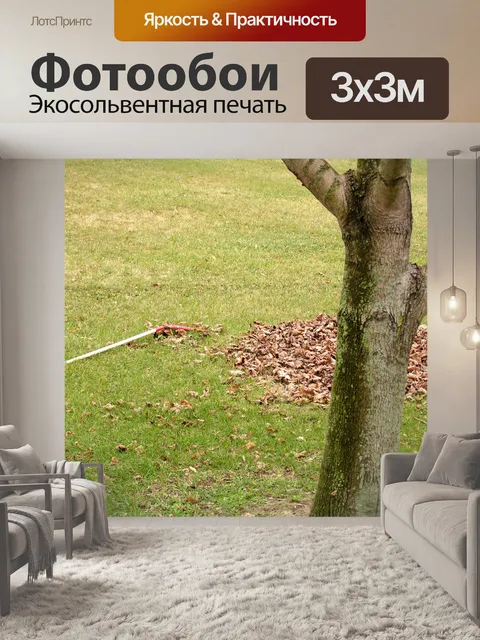Фотообои Raked куча листьев