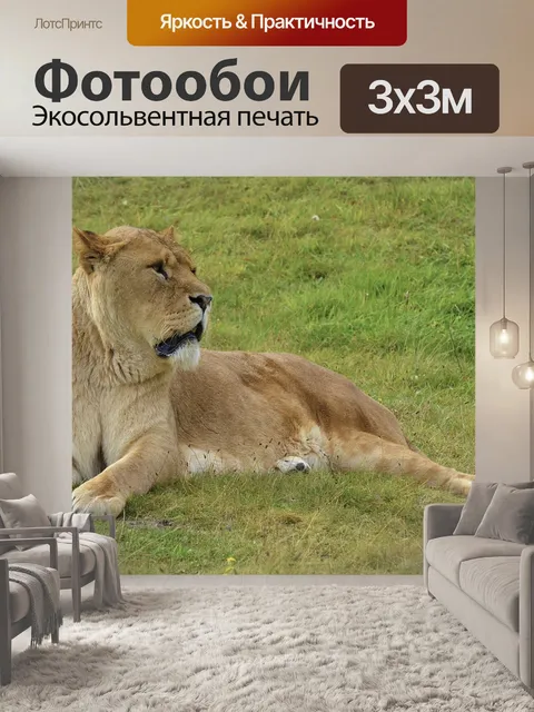 Фотообои Львица