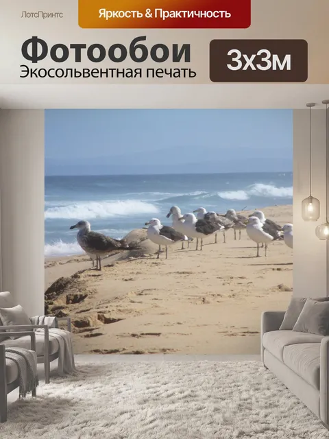 Фотообои Чайки на песке