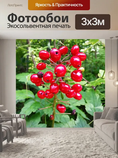Фотообои Дикие фрукты