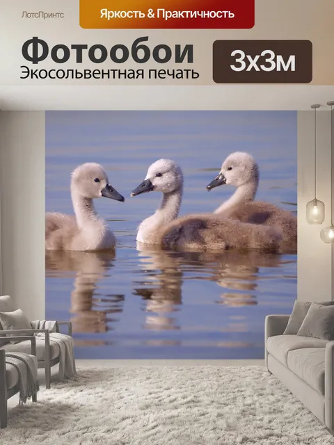 Фотообои Лебедь цыпленок милый утенок