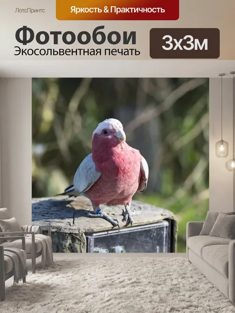 Фотообои Птица