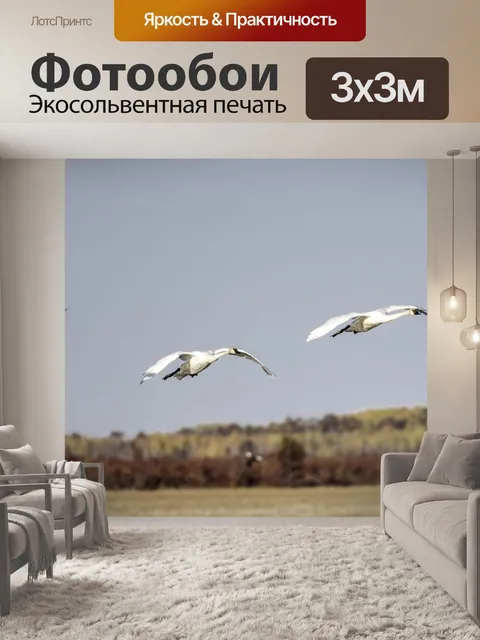 Фотообои Лебединая посадка