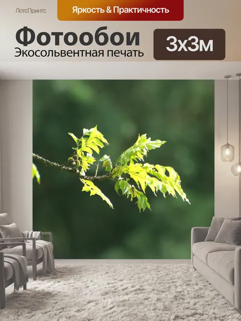 Фотообои Дерево