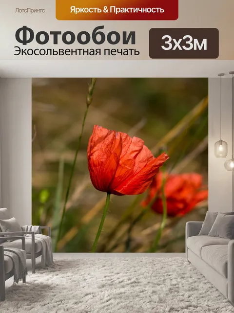 Фотообои Маки
