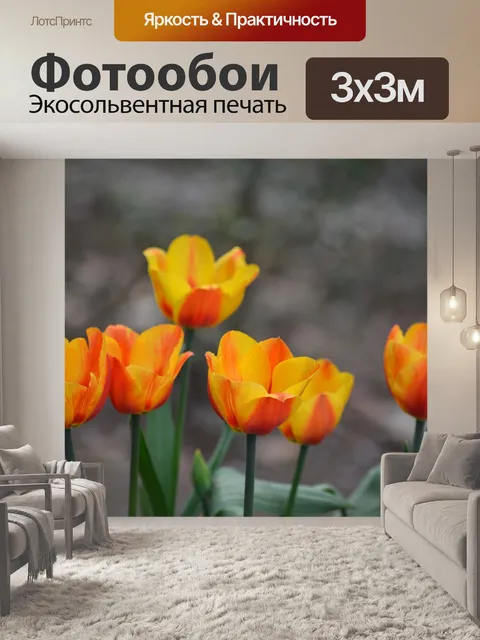 Фотообои Тюльпаны
