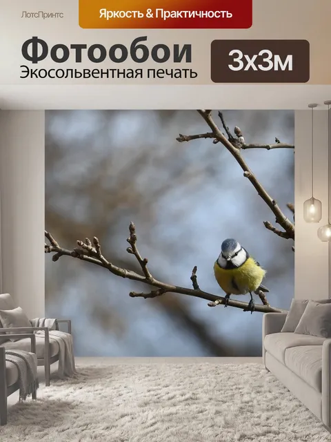 Фотообои Птицы
