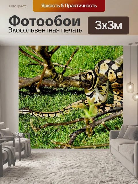 Фотообои Линия