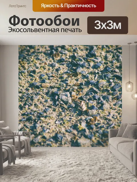 Фотообои Камешек