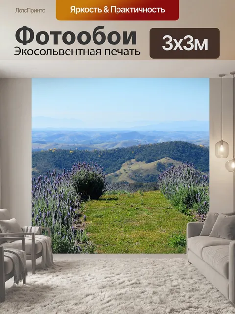 Фотообои Лаванда