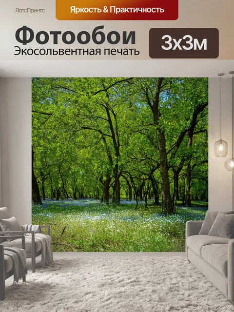 Фотообои лес с раскидистыми деревьями и мелкими цветами, растущими в тени