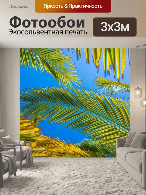 Фотообои Пальмовых листьев деревьев