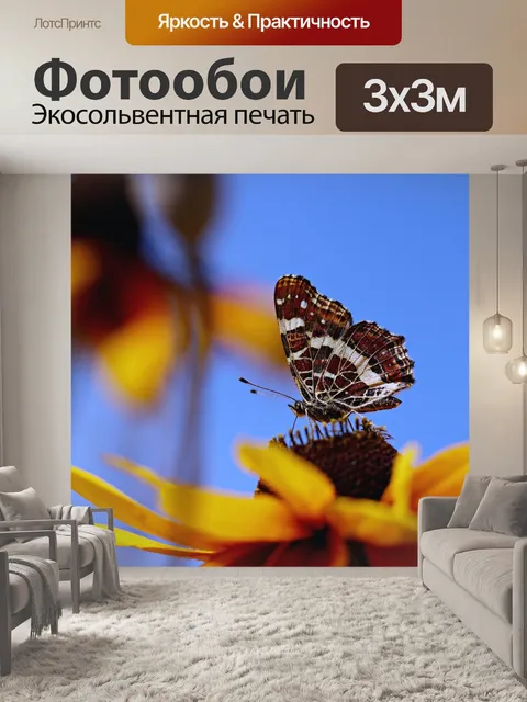 Фотообои Бабочка