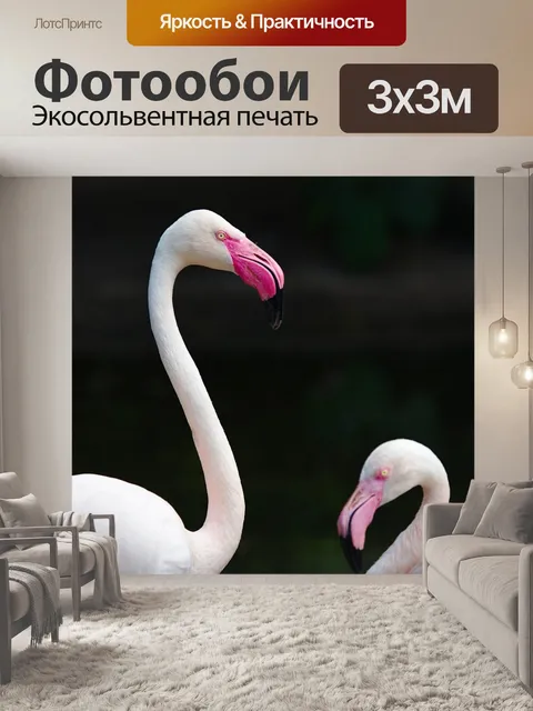 Фотообои Фламинго