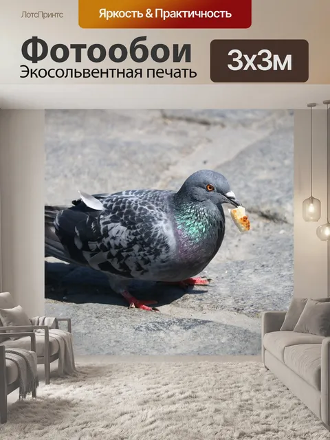 Фотообои Птицы