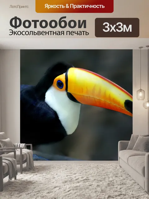 Фотообои Тукан