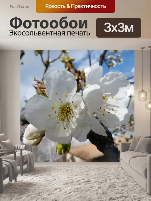 Фотообои Цветы