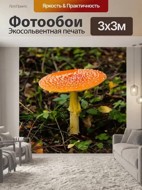 Фотообои Лес