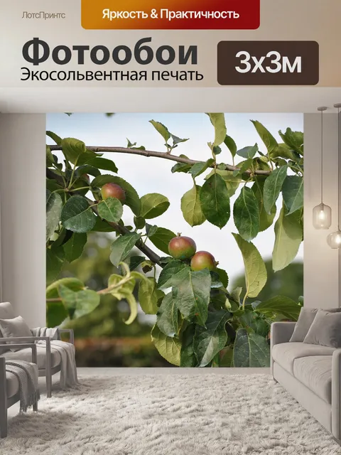 Фотообои Лист